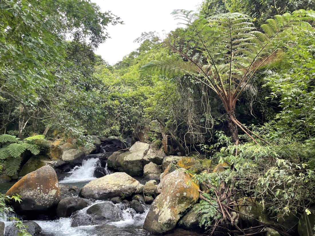 River tracing at  lǎo méi xī in Taipei - photo 2