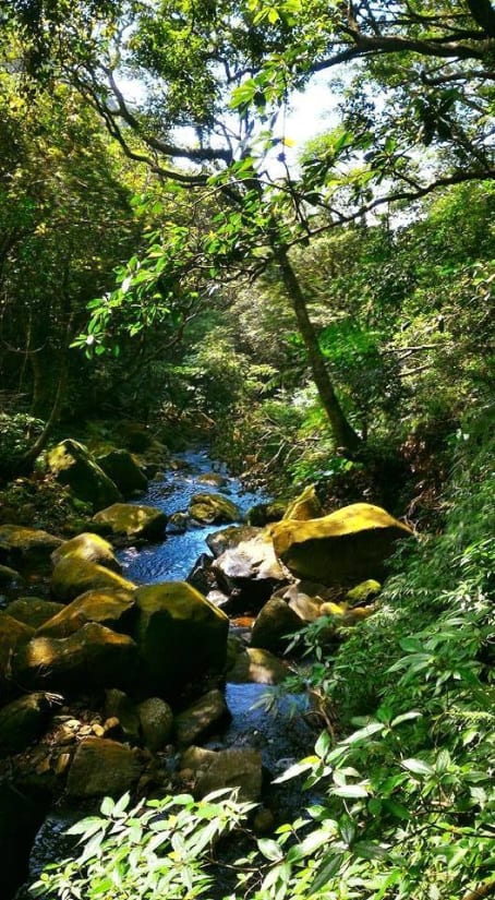 River tracing at Dà tún xī in Taipei - photo 8