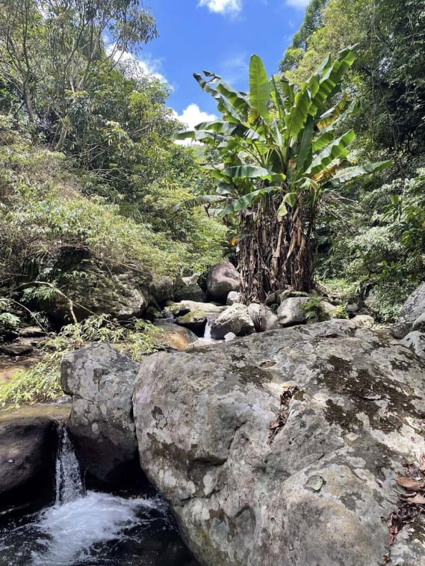River tracing at Mǎ sù xī in Taipei - photo 3