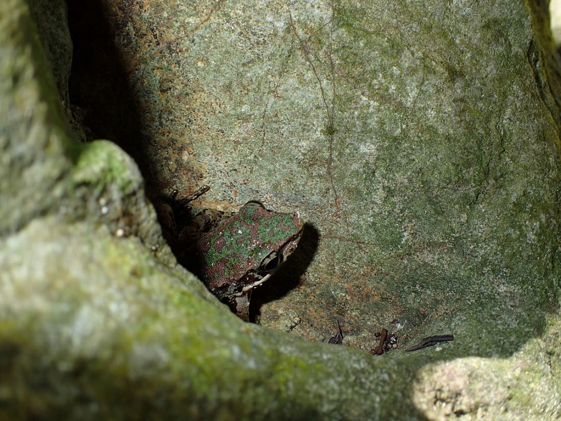 River tracing at  lǎo méi xī in Taipei - photo 11