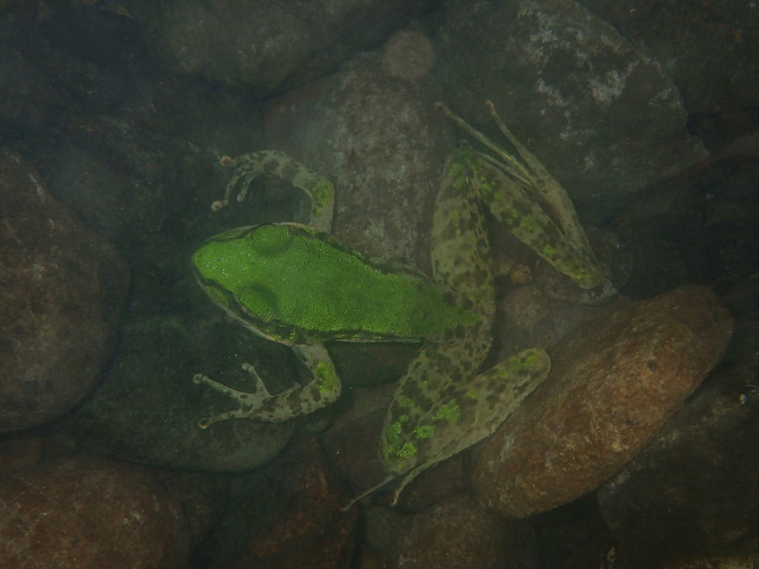 River tracing at  lǎo méi xī in Taipei - photo 2