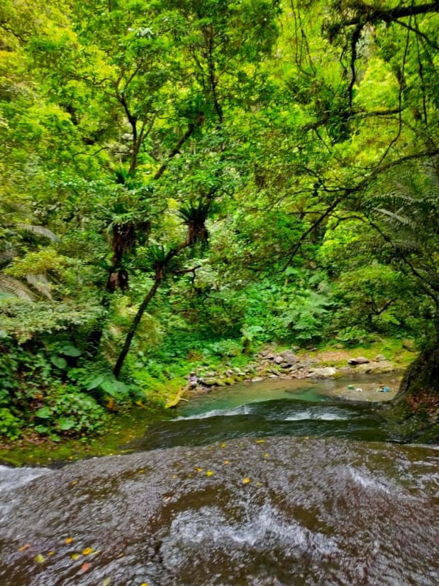 River tracing at Bihu river in Taipei - photo 9