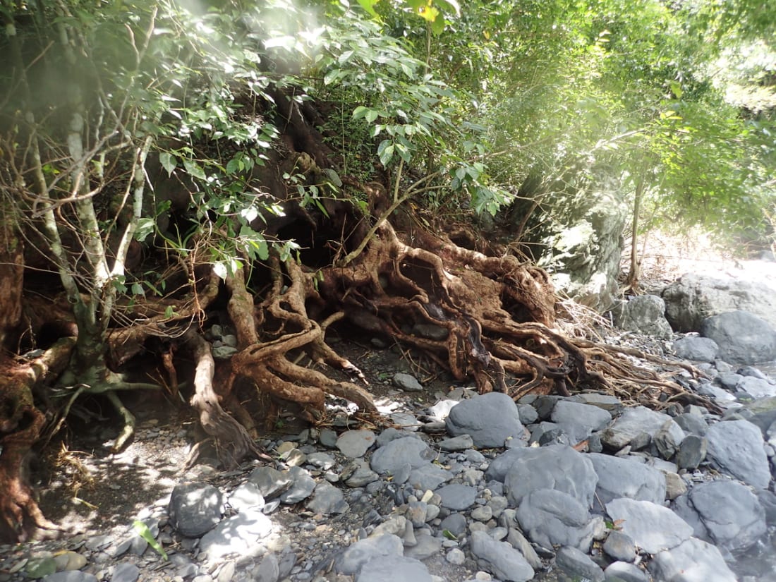 River tracing at Shimen creek in Pingtung - photo 7