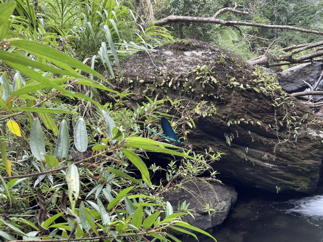 River tracing at Siqiye creek in Taipei - photo 5