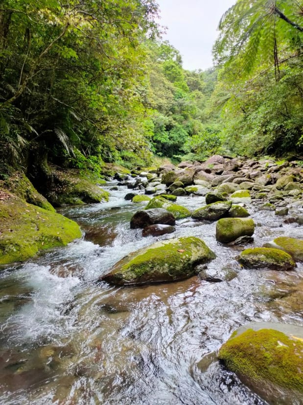 River tracing at Bihu river in Taipei - photo 7