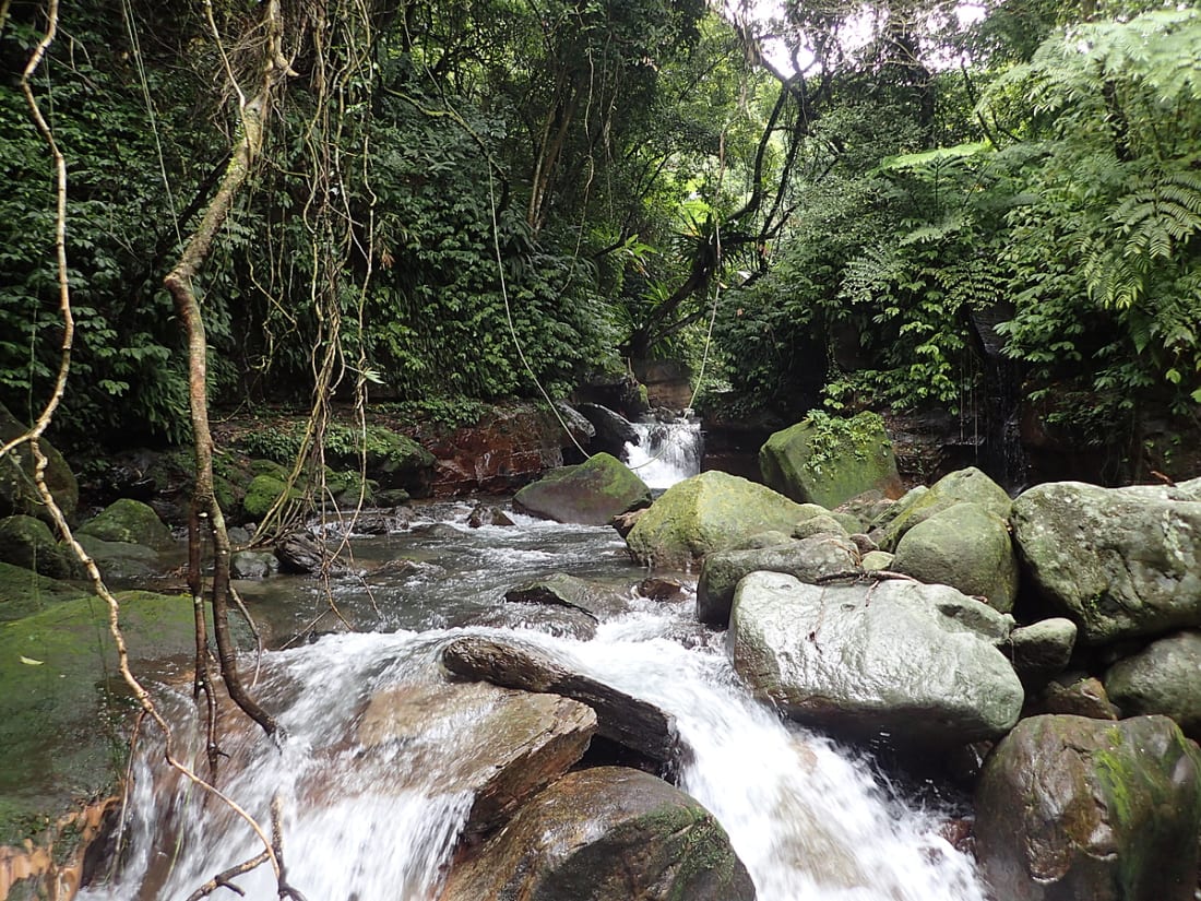 River tracing at Mǎ sù xī in Taipei - photo 11