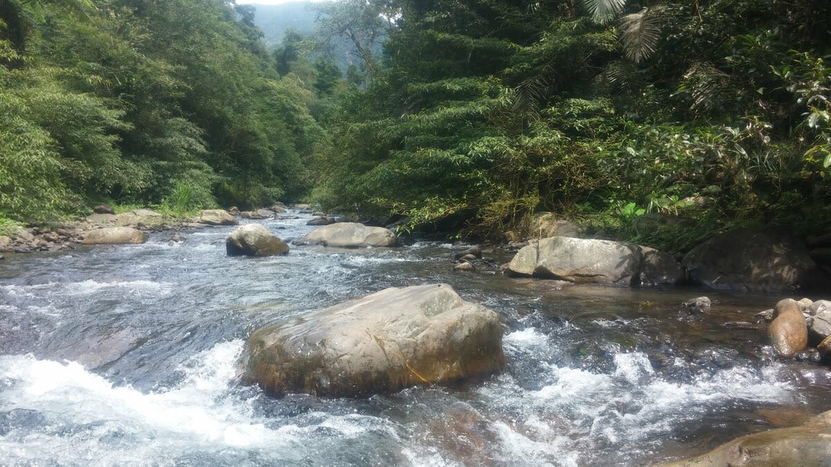 River tracing at Jiuliao creek in Yilan - photo 4