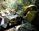 River tracing photo 2