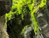 River tracing photo 2