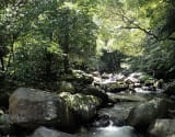 River tracing photo 3
