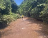 River tracing photo 2