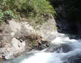 River tracing photo 2