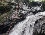 River tracing photo 2
