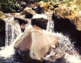 River tracing photo 3