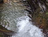 River tracing photo 3
