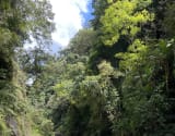 River tracing photo 3