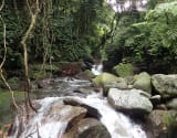 River tracing photo 3