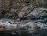 River tracing photo 3