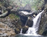 River tracing photo 2