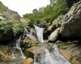 River tracing photo 3