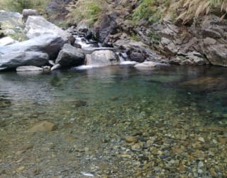 River tracing photo 2
