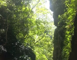 River tracing photo 2