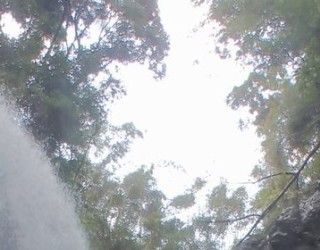 River tracing photo 3