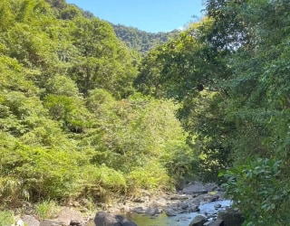 River tracing photo 2
