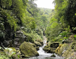 River tracing photo 2