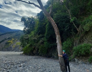 River tracing photo 2