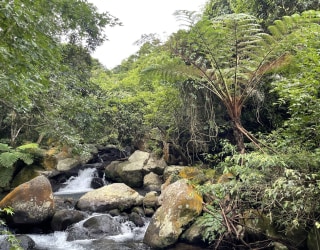 River tracing photo 2