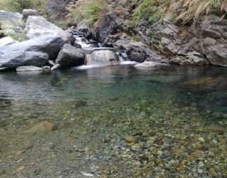 River tracing photo 2