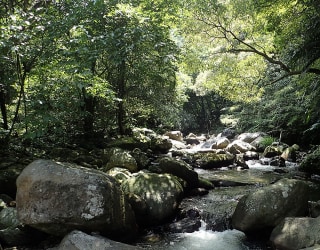 River tracing photo 3