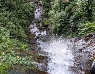 River tracing photo 2