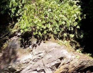 River tracing photo 2