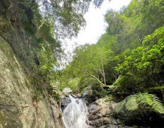 River tracing photo 3