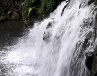 River tracing photo 3