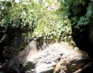 River tracing photo 3