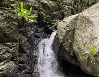River tracing photo 2