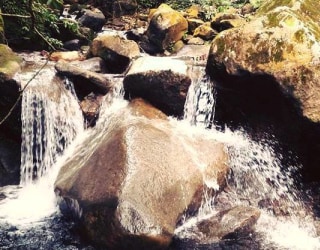 River tracing photo 2