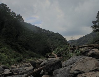 River tracing photo 3