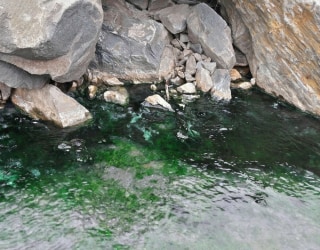 River tracing photo 3