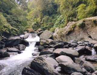 River tracing photo 3
