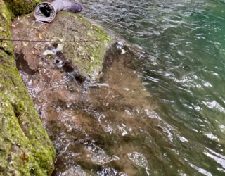 River tracing photo 3