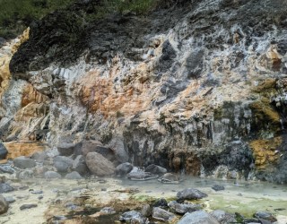 River tracing photo 2