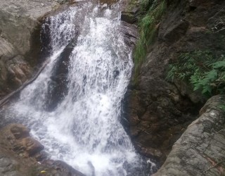 River tracing photo 3