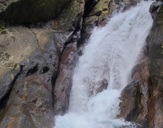 River tracing photo 2