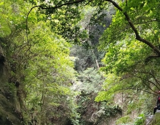 River tracing photo 3