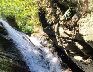 River tracing photo 3