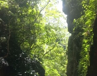River tracing photo 2